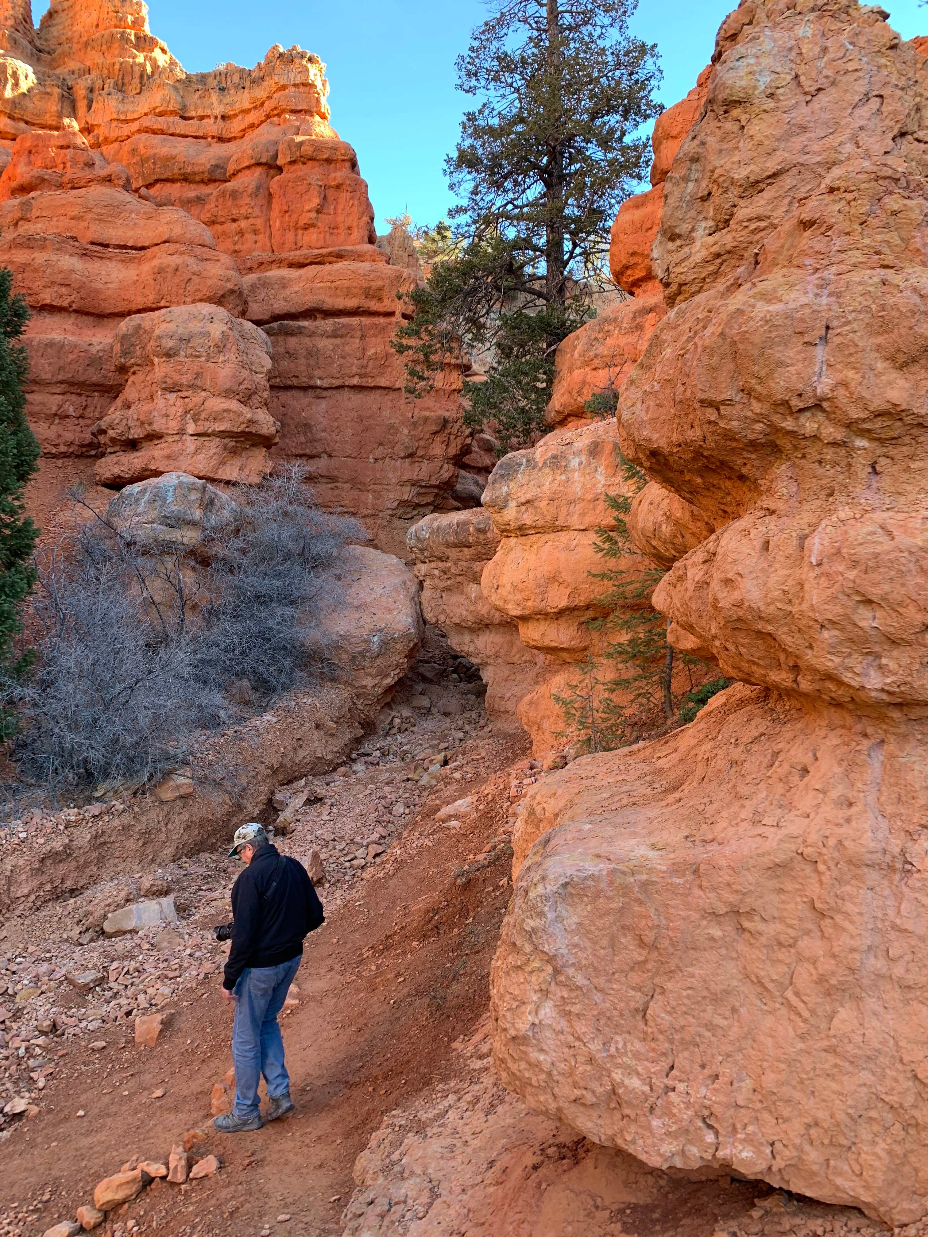 Red Canyon
